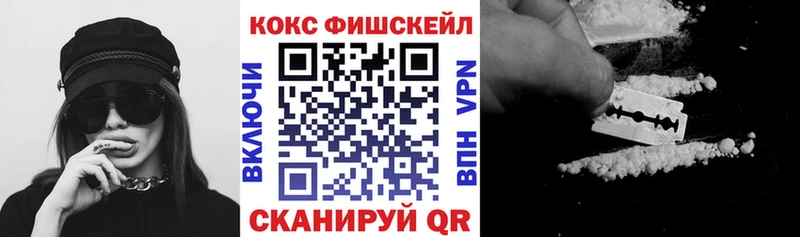 Купить где  Макаров  Cocaine 98% 