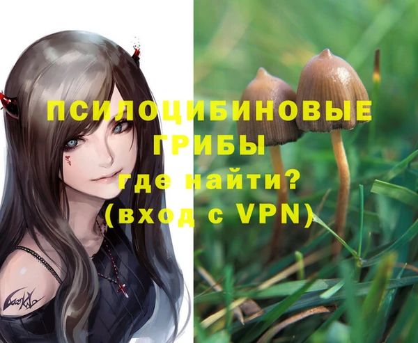 МДПВ Верхнеуральск