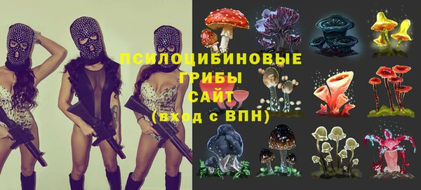 молекула духа Верея