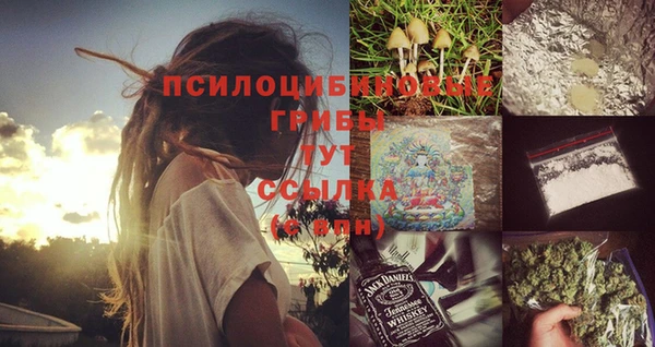 молекула духа Верея