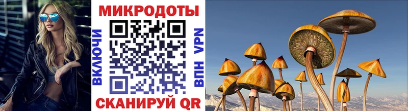Псилоцибиновые грибы прущие грибы  Купить где  Макаров 