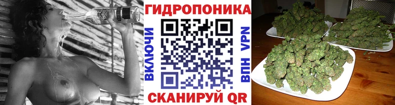 Канабис индика  Купить где  Макаров 
